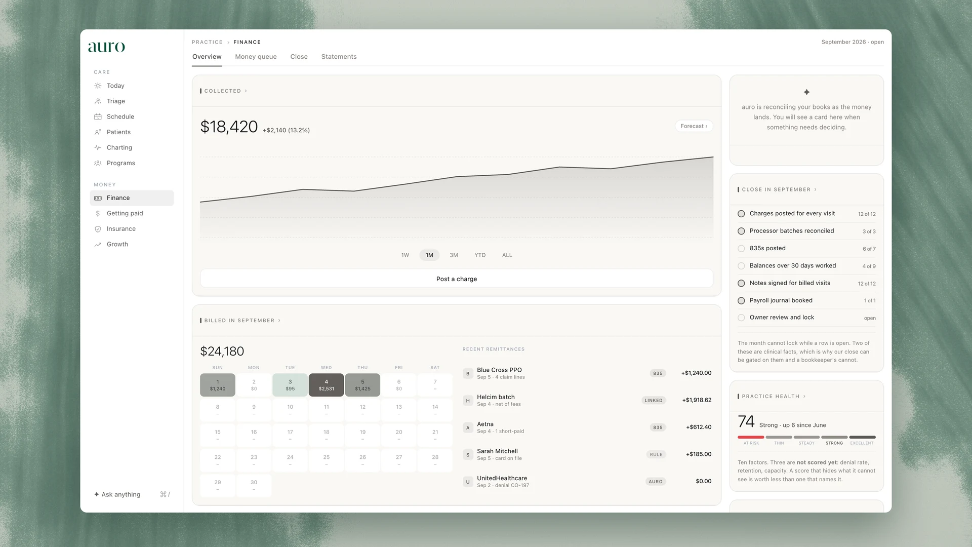 the auro Money ledger on a painted forest sheet